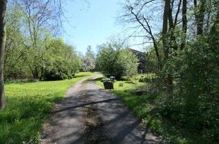 Haus kaufen in 21775 Steinau, Bad Bederkesa: Resthof mit Hausweide am Hadelner Kanal