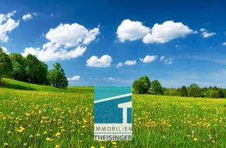 Grundstück zu kaufen in 85125 Kinding, Traumhaftes Grundstück in Kinding - Natur, Ruhe und Lebensqualität vereint! Kein Bauzwang!!!