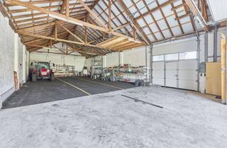 Gewerbeimmobilie kaufen in Queichstraße 31, 76833 Siebeldingen, Grundstück mit Halle