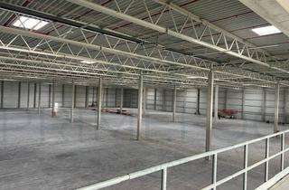 Gewerbeimmobilie mieten in 55286 Wörrstadt, JETZT BESICHTIGEN |ca. 2.500 m² Lager-/ Produktionsfläche | ebenerdig+Rampe | Q4 2025