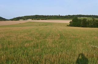 Anlageobjekt in Kapellenstr, 54558 Winkel, Landwirtschaftsflächen und Wald zwischen Winkel und Immerath