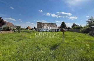 Grundstück zu kaufen in 04683 Belgershain, ***Hier können Sie Ihr Haus noch selbst gestalten!***