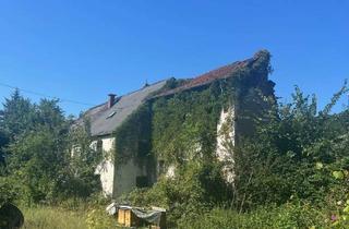 Grundstück zu kaufen in 66687 Wadern, Großes schön gelegenes Grundtsück nahe an der Prims in Wadern-Büschfeld zu verkaufen