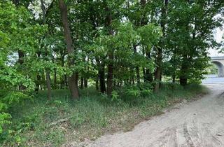 Immobilie kaufen in 06895 Gadegast, Wald in und um Zahna-Elster zu verkaufen
