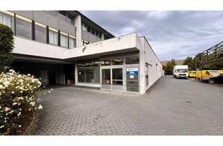 Gewerbeimmobilie mieten in 65239 Hochheim, Großzügige Service-/Verkaufsfläche in Hochheim am Main!