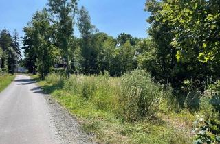 Gewerbeimmobilie kaufen in 95326 Kulmbach, Auktion - Vertragsfreie mit Gehölzen bewachsene Fläche am Ortseingang von Kulmbach in Oberfranken