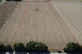 Gewerbeimmobilie mieten in 59320 Ennigerloh, Ackerland in Ennigerloh