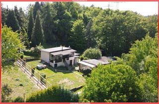 Haus kaufen in 01189 Dresden, Sommer, Sonne, Pool – Gartenparadies vor den Toren Dresdens