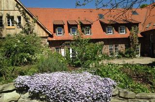 Wohnung mieten in Letter Strasse, 48361 Beelen, Exklusive, geräumige und neuwertige 1-Zimmer-Maisonette-Wohnung mit Einbauküche in Beelen