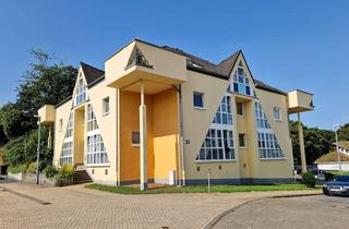 Wohnung mieten in An Der Lochmühle 20, 52379 Langerwehe, Frisch renovierte 2-Zimmer-Wohnung in Langerwehe inkl. Einbauküche und Tiefgaragenstellplatz
