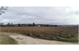 Grundstück zu kaufen in Auf Dem Berg, 73230 Kirchheim, 5.599 m² Bauerwartungsland