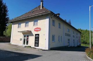 Gewerbeimmobilie kaufen in 94518 Spiegelau, Vielfältig nutzbare Gewerbeeinheit, auch für Wohnzwecke