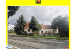 Einfamilienhaus kaufen in 04928 Plessa, Altes Haus sucht junge Leute