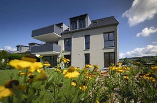 Wohnung mieten in 74074 Heilbronn, Traumhafte Gartenwohnung in HN-Ost