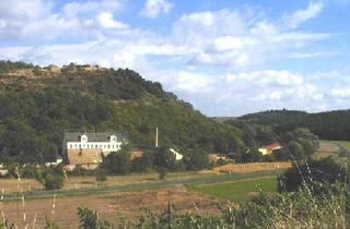 Wohnung mieten in 55546 Neu-Bamberg, In herrlicher Natur-/Randlage gelegene 2,5-Zi.-Studio-DG-Wohnung unw. Kurstadt 55543 Bad Kreuznach