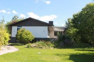 Haus kaufen in 96135 Stegaurach, Geräumiger & gepflegter Bungalow in ruhiger Wohnlage in Stegaurach mit separater Einliegerwohnung