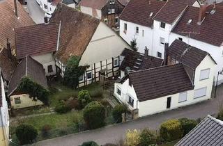 Haus kaufen in 31855 Aerzen, Zentral gelegen: Zwei historische Häuser mit Rendite
