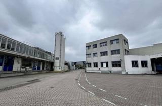 Gewerbeimmobilie kaufen in 26123 Oldenburg, Industrieareal für Produktion & Lagerung | Verfügbarkeit kurzfristig | Provisionsfrei