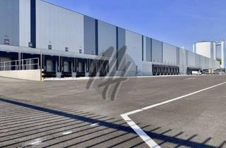 Büro zu mieten in 74523 Schwäbisch Hall, KEINE PROVISION ✓ NEUBAU ✓ WGK ✓ Lager-/Logistik (10.000 m²) & Büro-/Sozial (200 m²)