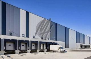 Büro zu mieten in 74613 Öhringen, KEINE PROVISION ✓ NEUBAU ✓ WGK ✓ Lager-/Logistik (20.000 m²) & Büro-/Sozial (200 m²)