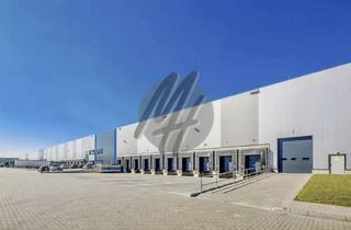 Büro zu mieten in 74523 Schwäbisch Hall, KEINE PROVISION ✓ NEUBAU ✓ RAMPE + EBEN ✓ Lager-/Logistik (29.000 m²) & Büro-/Sozial (500 m²)