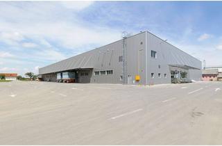 Gewerbeimmobilie mieten in 55457 Gensingen, Top moderne Produktions- / Logistikfläche 7.000 m² Halle in Bingen
