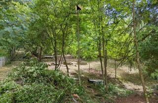Grundstück zu kaufen in Unterer Haldenweg Fl. 2975/1 + 2, 73760 Ostfildern, Anpacken & gestalten: Verwunschenes Wochenendgrundstück mit Hütte in Ostfildern (1.785 m²)