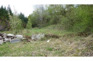 Grundstück zu kaufen in 54314 Zerf, Baugrundstück mit Baugenehmigung für großzügiges freistehendes Wohnhaus mit Garage in Zerf