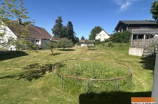 Grundstück zu kaufen in Hüttenseestrasse 5/1, 88099 Neukirch, Mitten in Neukirch - ruhig gelegenes Baugrundstück