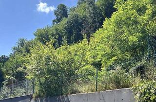Grundstück zu kaufen in 66849 Landstuhl, POCHERT IMMOBILIEN - Sonniges Grundstück mit Abrisshaus in traumhafter Waldrandlage in Landstuhl