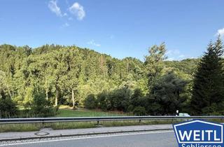 Grundstück zu kaufen in 83629 Weyarn, *** Großes sonniges Grundstück für ein Einfamilienhaus mit schönem Blick ***