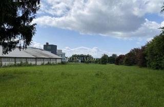 Grundstück zu kaufen in 96237 Ebersdorf, Großflächiges Grundstück in Ebersdorf bei Coburg