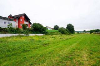Grundstück zu kaufen in 96142 Hollfeld, Wenn ich mal groß bin, werde ich Bauland! – Grundstücke mit Entwicklungspotential bei Hollfeld
