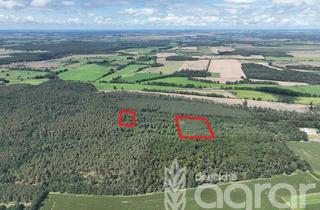 Gewerbeimmobilie kaufen in 14550 Groß Kreutz, Kiefernmischwald (ca. 3 ha) bei Groß Kreutz (Havel)