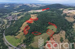Gewerbeimmobilie kaufen in 67752 Rutsweiler, Acker, Wald und Wiese (ca. 6,2 ha) nordwestlich von Kaiserslautern