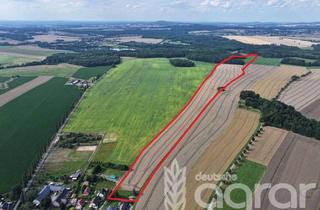 Gewerbeimmobilie kaufen in 01477 Arnsdorf, Acker, Wald und Wiese (ca. 20 ha) zw. Dresden und Bautzen bei Arnsdorf
