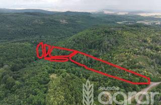 Gewerbeimmobilie kaufen in 38889 Blankenburg, Buchenmischwald (ca. 2,6 ha) bei Blankenburg im Harz