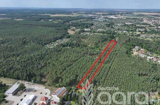 Gewerbeimmobilie kaufen in 02977 Hoyerswerda, Kiefernmischwald (ca. 0,7 ha) bei Hoyerswerda
