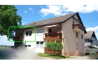 Wohnung mieten in 79189 Bad Krozingen, 3-Zimmer Wohnung im Raum Bad Krozingen (2023 renoviert)