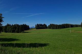 Grundstück zu kaufen in 86975 Bernbeuren, Landwirtschaftliche Fläche