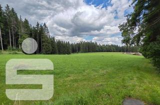 Gewerbeimmobilie kaufen in 95233 Helmbrechts, Waldgrundstück in Helmbrechts / OT Bärenbrunn - Ochsenbrunn