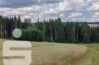 Gewerbeimmobilie kaufen in 95233 Helmbrechts, Waldgrundstück in Helmbrechts / OT Kleinschwarzenbach