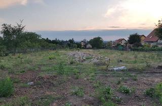 Gewerbeimmobilie kaufen in Schindlerstraße 45a, 01689 Weinböhla, Exklusives Baugrundstück in bester Lage von Weinböhla - Ihr Traum vom Eigenheim