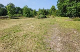 Gewerbeimmobilie kaufen in 37445 Walkenried, Ebenerdiges Grundstück, ideal geeignet als Lagerplatz, Garagengrundstück oder Gartenfläche