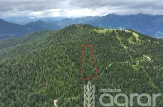 Gewerbeimmobilie kaufen in 83486 Ramsau, Fichtenwald (ca. 1,8 ha) westlich von Berchtesgaden