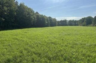 Gewerbeimmobilie kaufen in 85635 Höhenkirchen-Siegertsbrunn, 2 Landwirtschaftsflächen bei Höhenkirchen-Siegertsbrunn