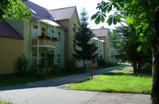 Wohnung mieten in Fontanestraße 25, 15806 Zossen, 3-Raumwohnung *SCHÖNER WOHNEN, NATURNAH UND ENTSPANNEND FÜR GEIST UND SEELE*