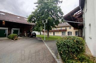 Wohnung mieten in 85635 Höhenkirchen-Siegertsbrunn, Licht, Luft & Lebensqualität – Maisonette-Traum mit Gartenanteil in Höhenkirchen-Siegertsbrunn