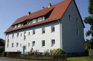 Wohnung mieten in Hopfenkamp 16, 38704 Liebenburg, Modernisierte 1-Zimmerwohnung