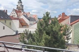 Wohnung mieten in 04720 Döbeln, 2-Raum DG-WE mit Balkon u. bestem Blick